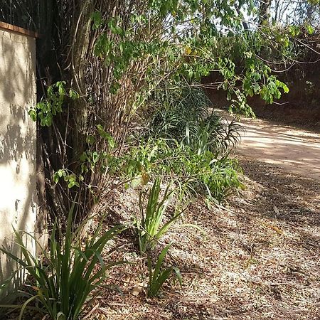 Sitio Alvorada - Paraiso Localizado No Circuito Das Aguas Paulista 암파로 외부 사진