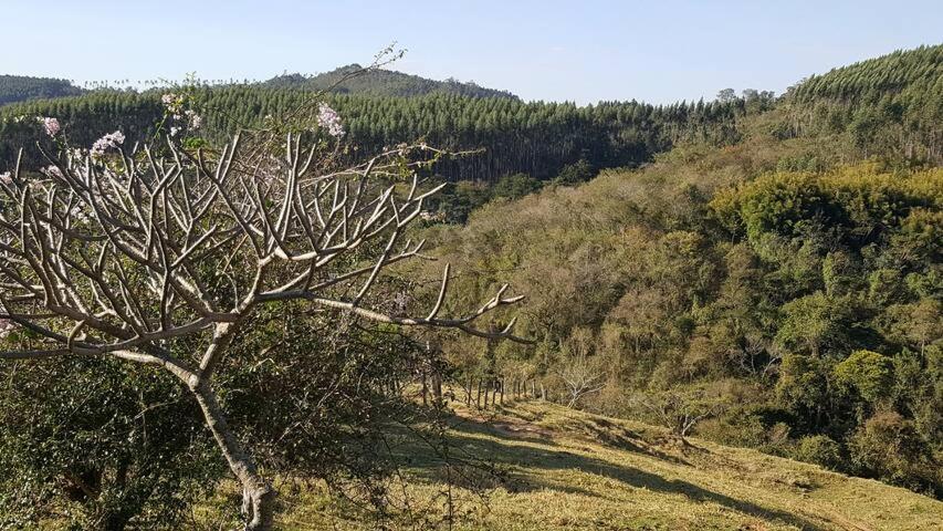 Sitio Alvorada - Paraiso Localizado No Circuito Das Aguas Paulista 암파로 외부 사진